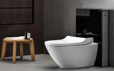 Les façons de déboucher une toilette sans piston