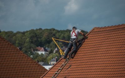 Pourquoi est – il indispensable de démousser régulièrement sa toiture?